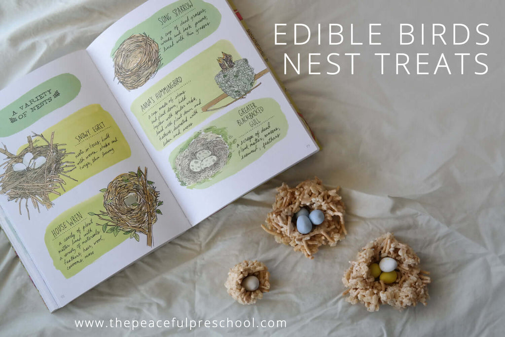 Edible Bird Nest Treats