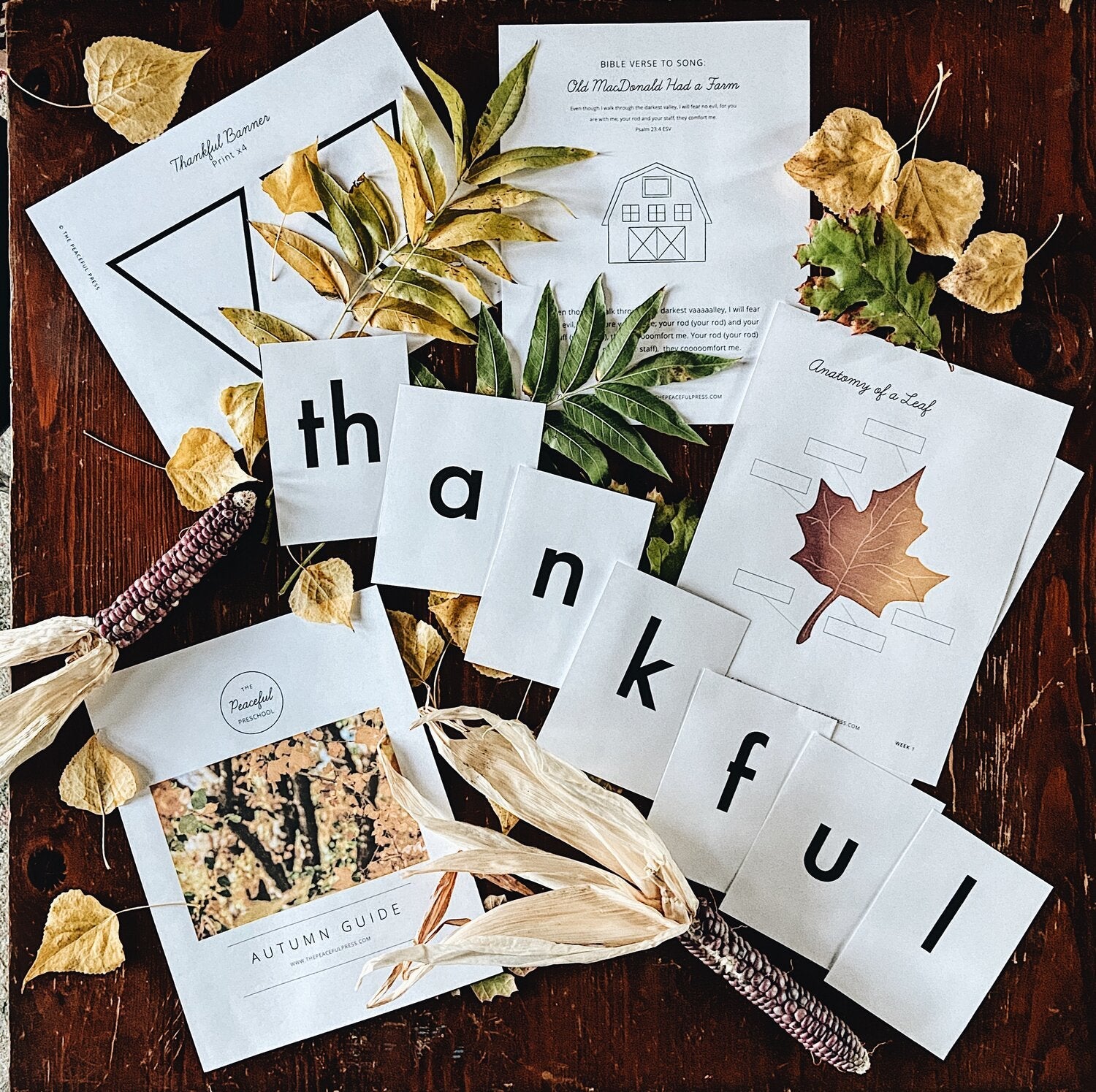 Fall Homeschool supplies, the word 'thankful' spelled out with phonics cards, corn, leaves, a barn drawing, etc on a well worn wooden table.