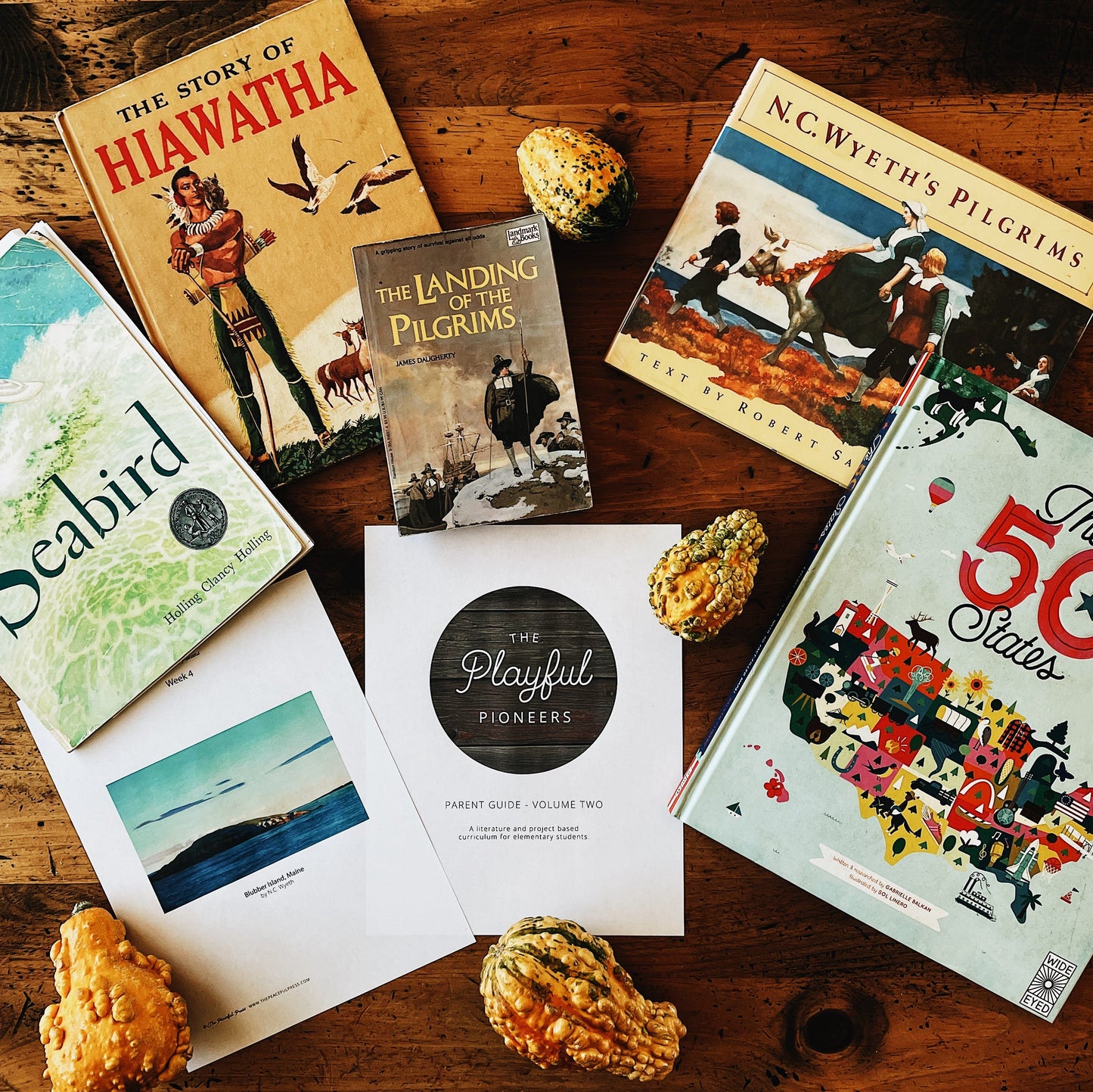 The Playful Pioneers Curriculum and books related to it, on a wooden table.