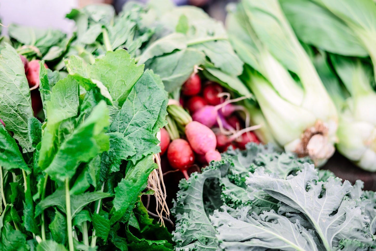 Various home grown vegetables, including mint, kale, and radishes.