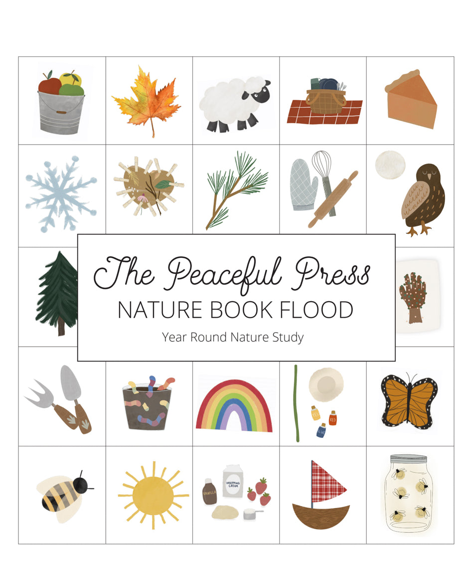 Peaceful Press Nature Book Flood: A Year Round Nature Study