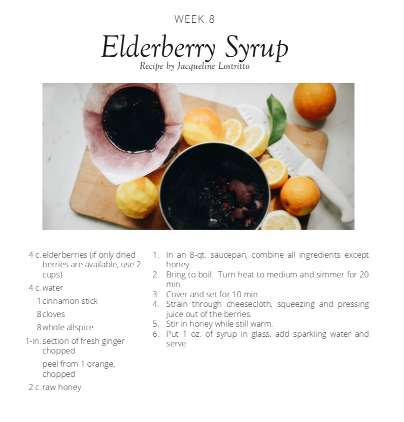 Homeschool Curriculum Recipe for Elderberry Syrup.