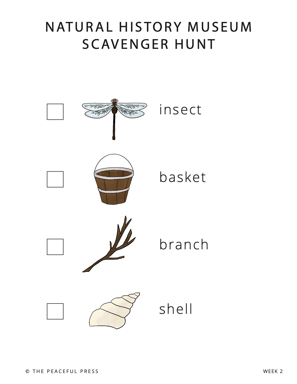 Homeschool Study Sheet for a Natural History Museum Scavenger Hunt.