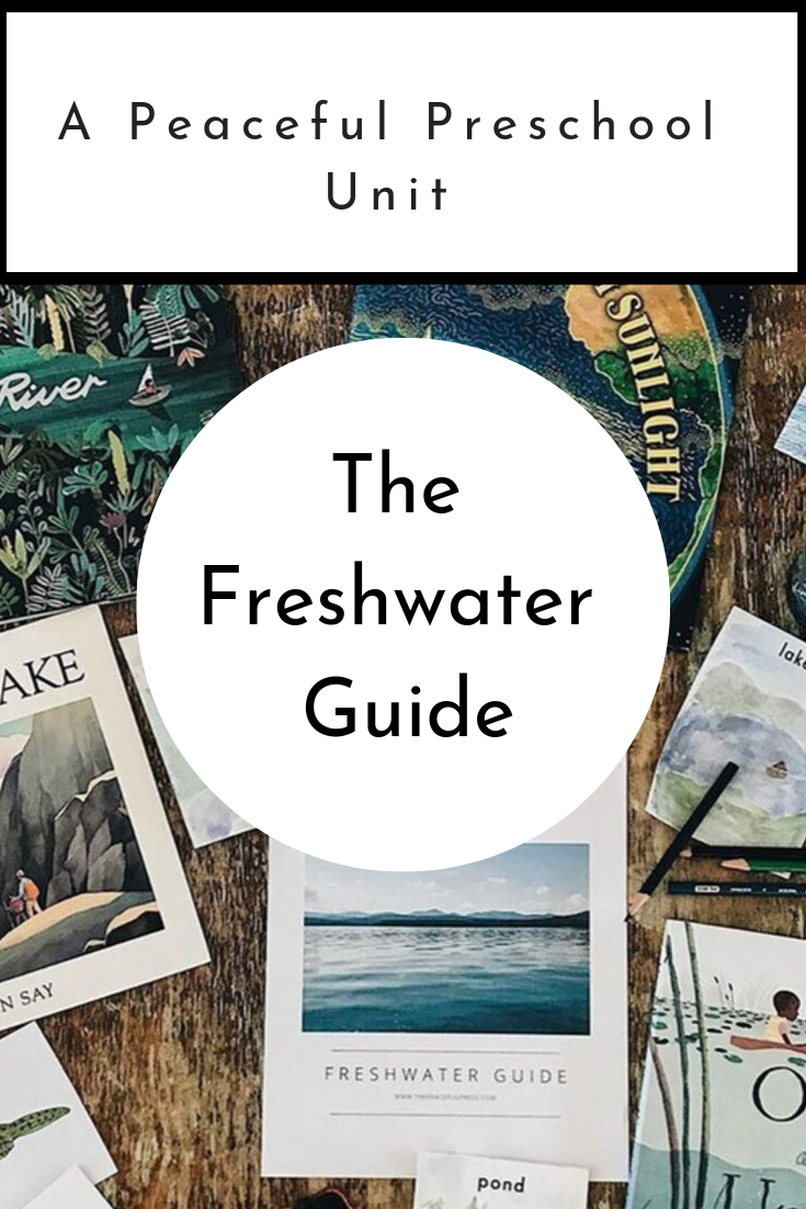 Homeschool Kindergarten "Freshwater Guide" cover art, homeschool materials on a wooden table.