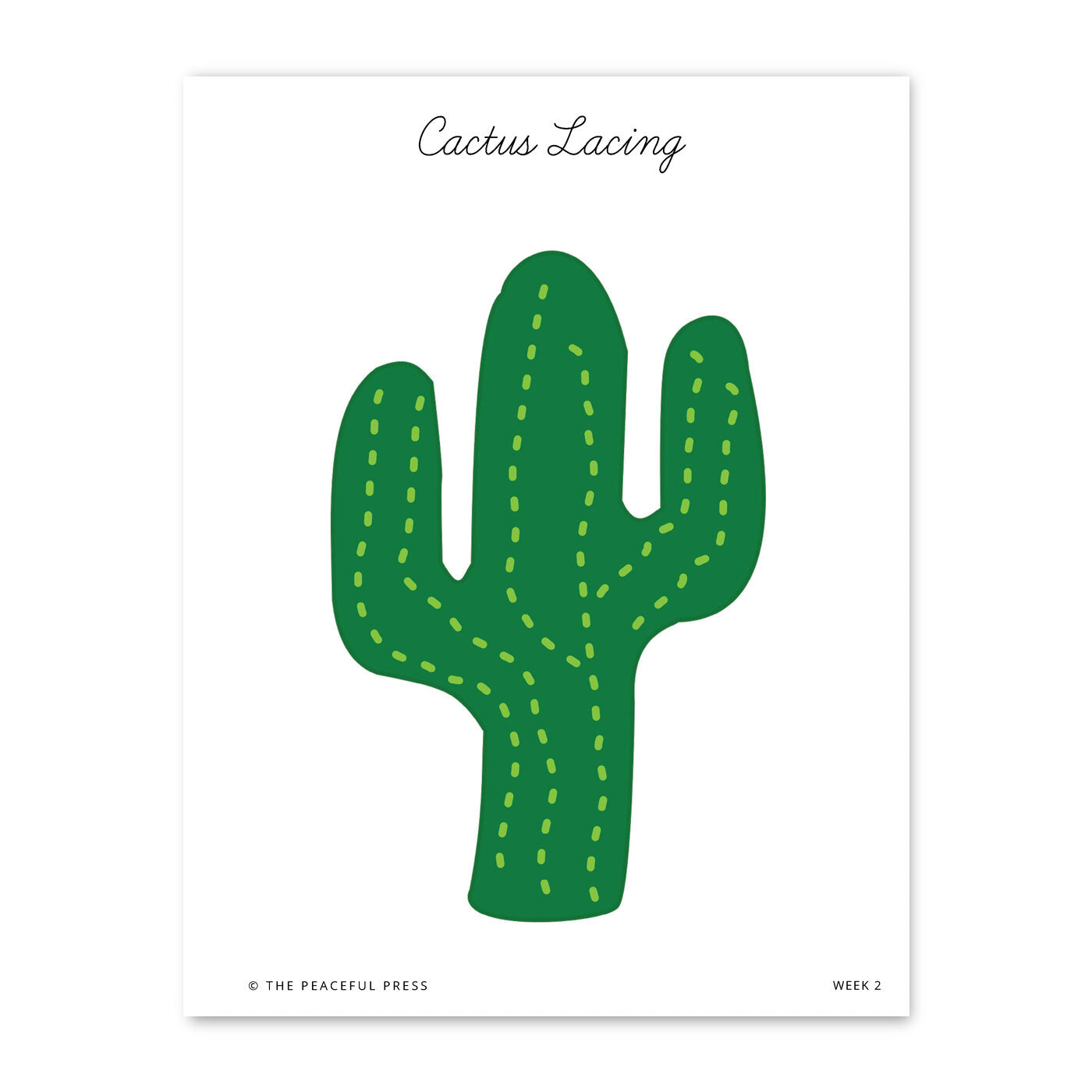Homeschool Sample project, for the "Desert Guide", a cactus lacing project.