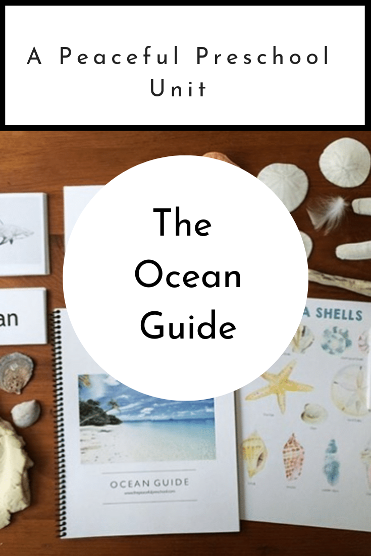 The cover art of "The Ocean Guide", a 4 week homeschool kindergarten grid focused on the ocean.