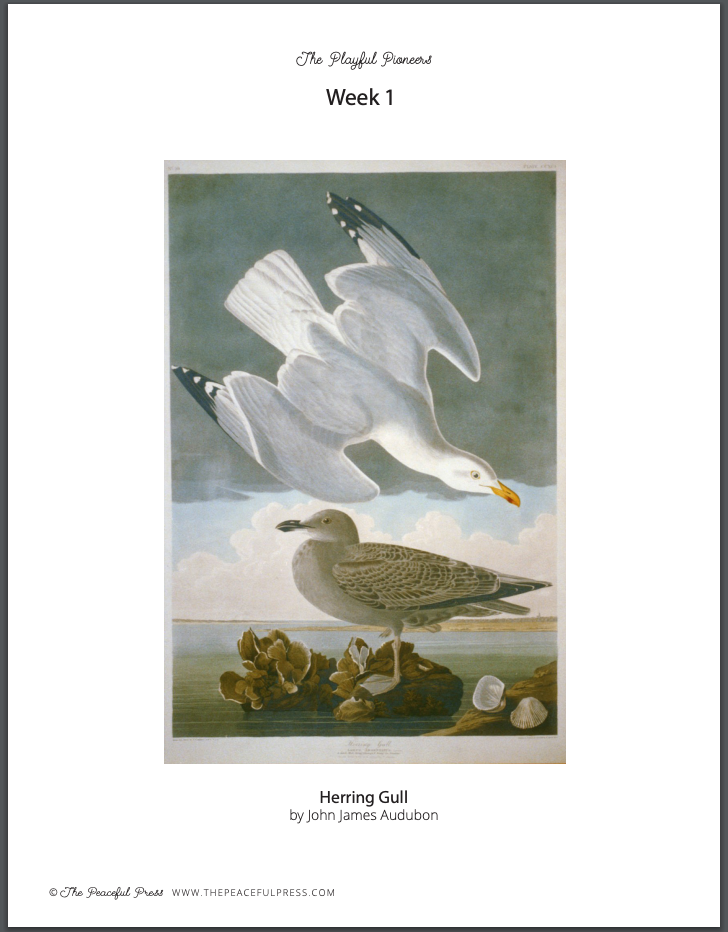 Playful Pioneers Homeschool Curriculum Art Sample Sheet, "Herring Gull" by John James Audubon.
