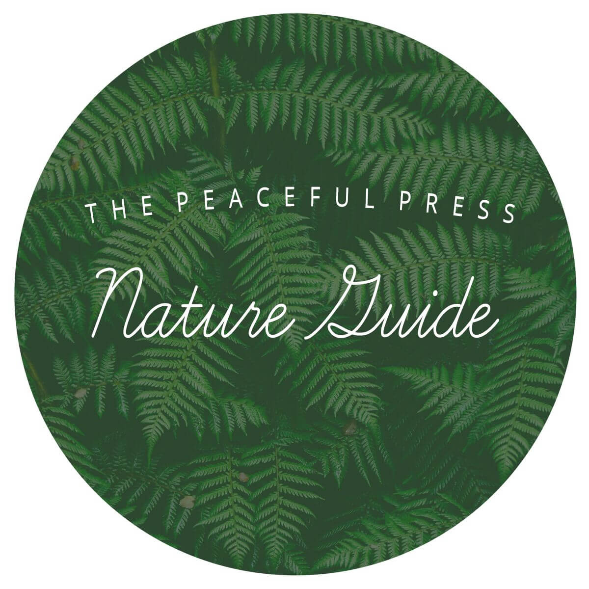 A circle filled with green ferns on a white field with the words: The Peaceful Press, Nature Guide over the circle.