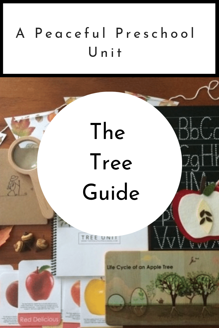 Cover art for the homeschool kindertgarten "Tree Guide", different homeschool tree related material on a wooden table.