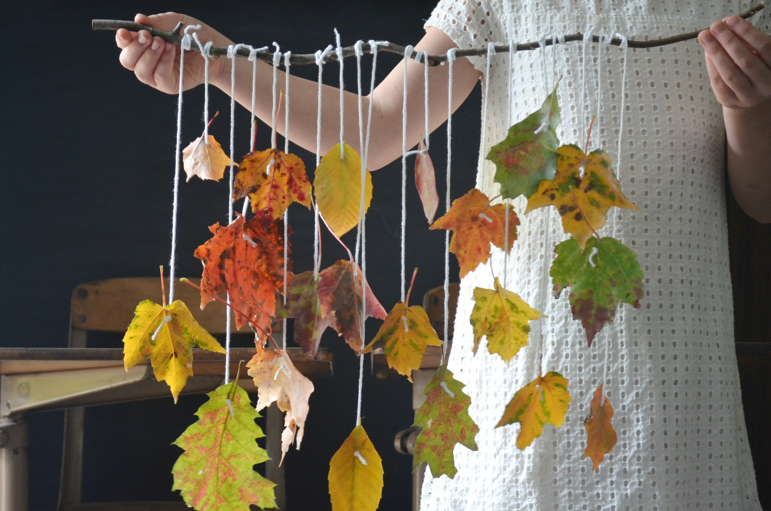 A sample homeschool craft, a tree mobile. A homeschool child holds a branch with different colored leaves hanging from twine tied to the branch.
